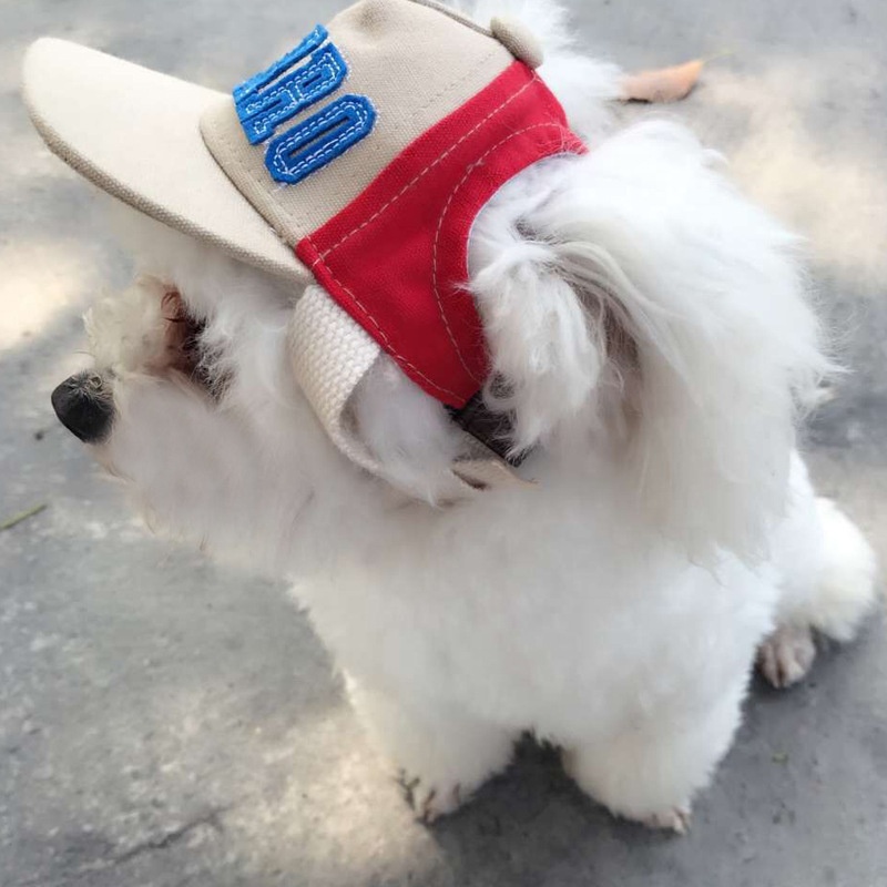 Dad Hat Cotton - Bordado cão mãe chapéu de beisebol